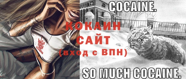 спайс Вяземский